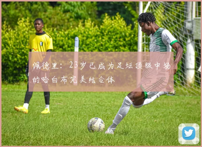 佩德里：23岁已成为足坛顶级中场的哈白布完美结合体