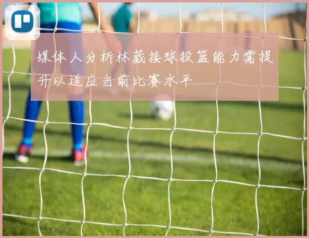 媒体人分析林葳接球投篮能力需提升以适应当前比赛水平